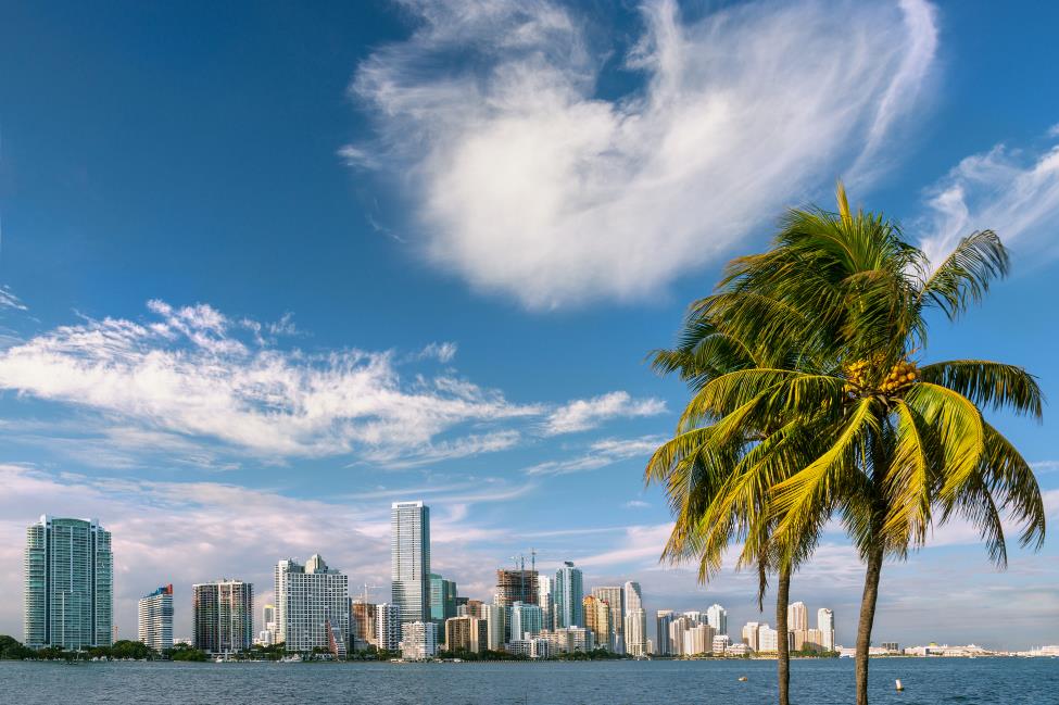 Learn English and enjoy the beach and thriving atmosphere of Miami
